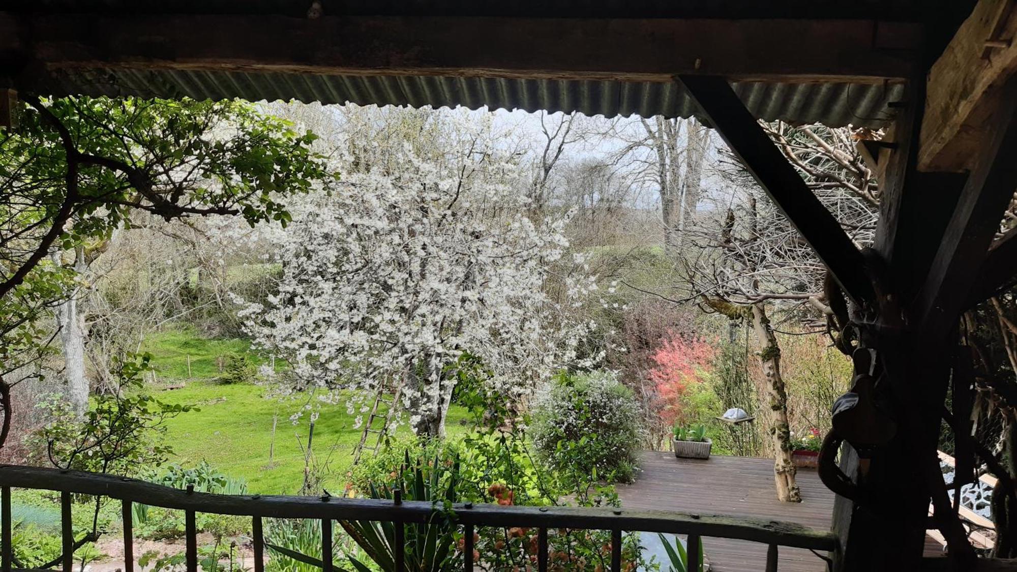 Au Coeur Des Loges Bed & Breakfast Saint-Bonnet-de-Bellac Exterior photo