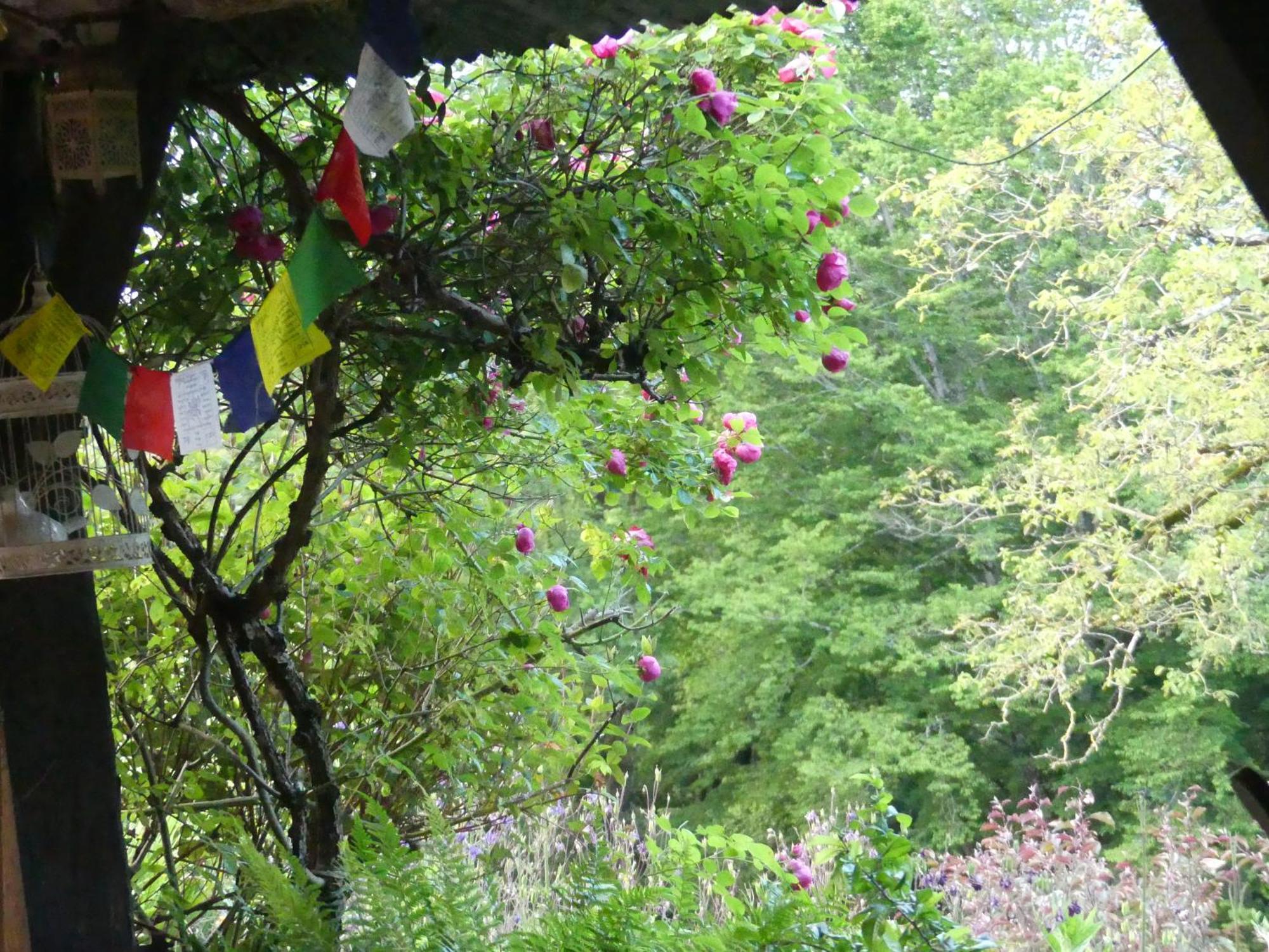 Au Coeur Des Loges Bed & Breakfast Saint-Bonnet-de-Bellac Exterior photo